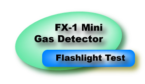 Flashlight Test System