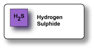 Hydrogen Sulphide Gas Sensor